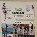 돈오야 이미지
