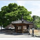 본성1리 이미지