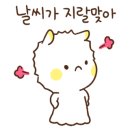 모토카워시(옥길점) 이미지