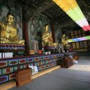 고창 선운사 소조 비로자나삼불 좌상 高敞 禪雲寺 塑造 毘盧遮那三佛 坐像 이미지