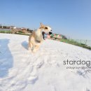 씨-스타 이미지