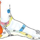 발바닥 통증, 발뒤꿈치 각질, 생리통, 발목 염좌 관리법 이미지
