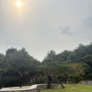 진위서로 | [평택 진위] 자연·감성·다 갖춘 산속뷰 힐링 카페 ‘트리인 카페’