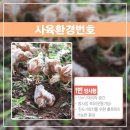 계란의 주민번호 '난각코드'에 대해 알아보자 (feat. 동물복지 계란) 이미지