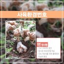 여시농장 이미지
