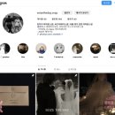 씨즈더데이