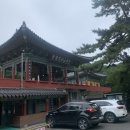 내원정사유치원 | 여자 혼자 템플스테이 후기 (부산 내원정사) 주차 가격 시설 발우공양 가는길