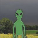 그윽해 지는 프랑스 자수교실 | 영화 서브스턴스 (그리고 망원동 책바)