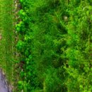 플랜티(plenty) 이미지