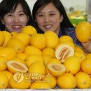 금홍유통