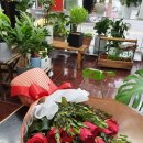 북안남6길 이미지