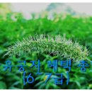 박경진행정사사무소 이미지