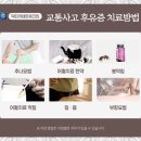 진천한의원 이미지