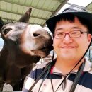 천천농장 | 강원도 홍천 동키마을에서 당나귀와 교감하고 승마체험까지 가능했던 가족 힐링 여행기