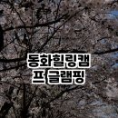 힐링캠프글램핑 | 파주 동화힐링캠프 글램핑 체험기 🌳