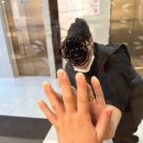 부산 해운대 엘리움 산후조리원 디럭스(뷰 없는 방) 2주 후기