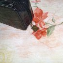 바디서클 이미지