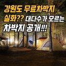 강릉송이직판장 | 주말 예약 3초 컷! 차박러들만 아는 비밀 강원도 캠핑장 7곳