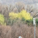 중랑캠핑숲 이미지