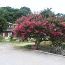 양동마을가는길 이미지