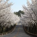 파미힐스 컨트리클럽 이미지