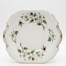 도그 블라썸 이미지