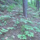 주몽농장 이미지