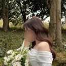 엘시크 이미지