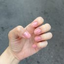 바이소은