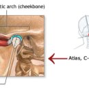더드림한의원 이미지