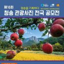 청송 이미지