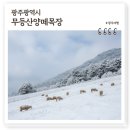 소나무목장 | 전라도 광주 가볼만한곳 무등산양떼목장, 먹이주기체험 가능 호남의 알프스