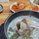 유가네한우곰탕보문점
