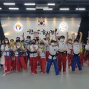 MVP합기도 이미지
