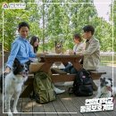 애완동물용품유통센터
