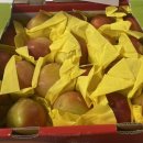 혜영농장 이미지