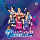 보령종합체육관 이미지