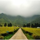 보성야생화 이미지