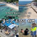 장양어촌마을 펜션 | 한적한 맑은 바다가 있는 울진군 온양리 어촌마을 해변 및 민박 추천