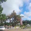 바다드림민박