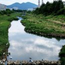 달서구 대명천 대구일보