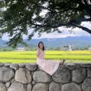 오롯이 제주 스테이 이미지