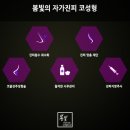 진피부사랑