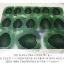 상상플라워 이미지