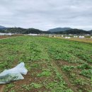 포항농약종묘사 이미지