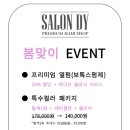 살롱디와이