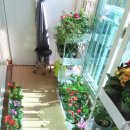 카페꽃길 이미지