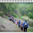 제30차 정기산행을 다녀와서-수요멜 이미지