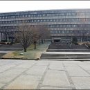 서울대학교 이미지