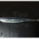 탑 피시 이미지